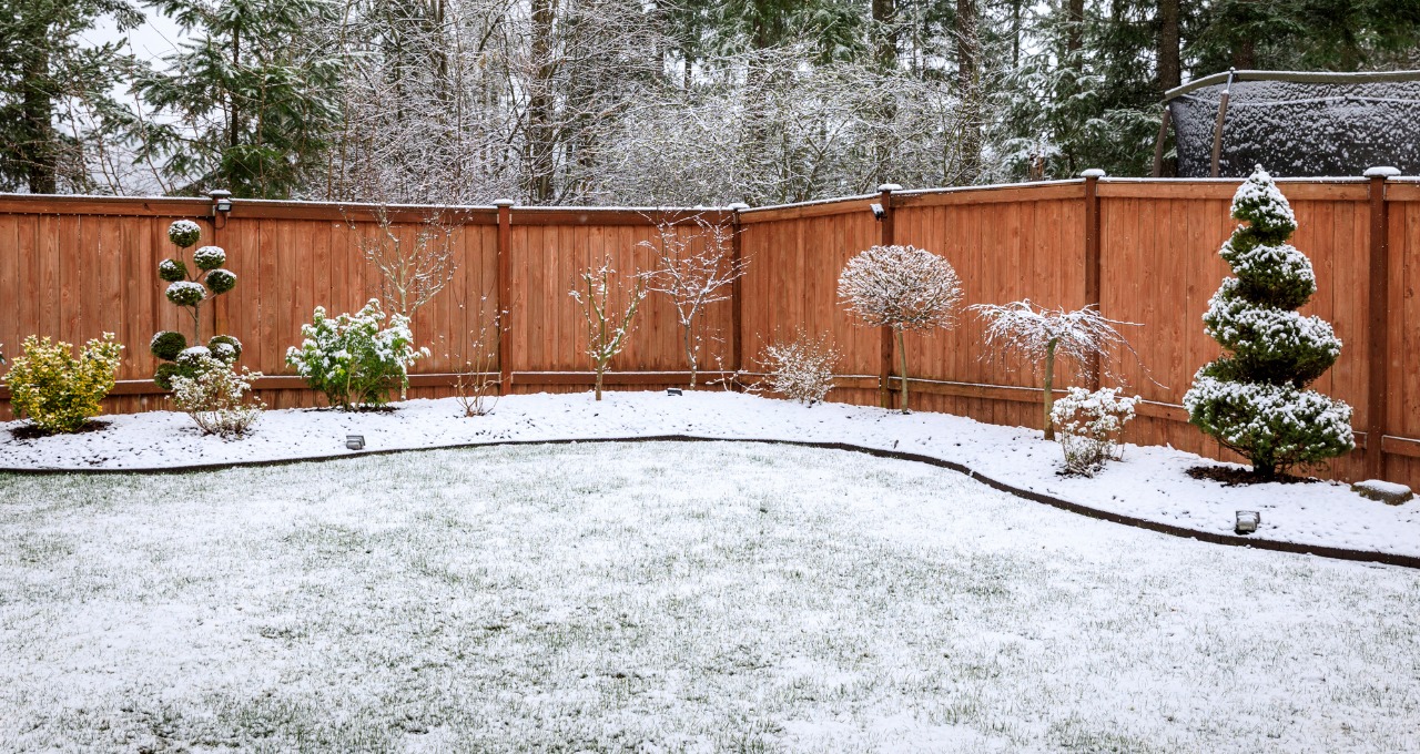 How to get your Garden ready for Winter